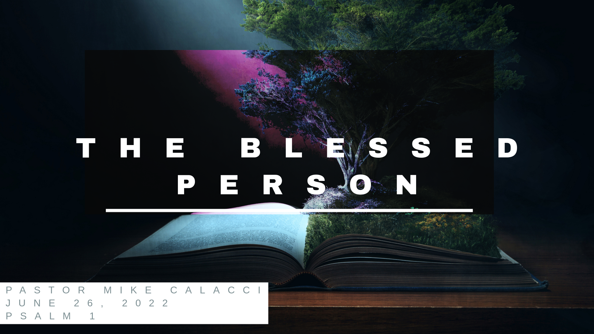 The_Blessed_Person (2)