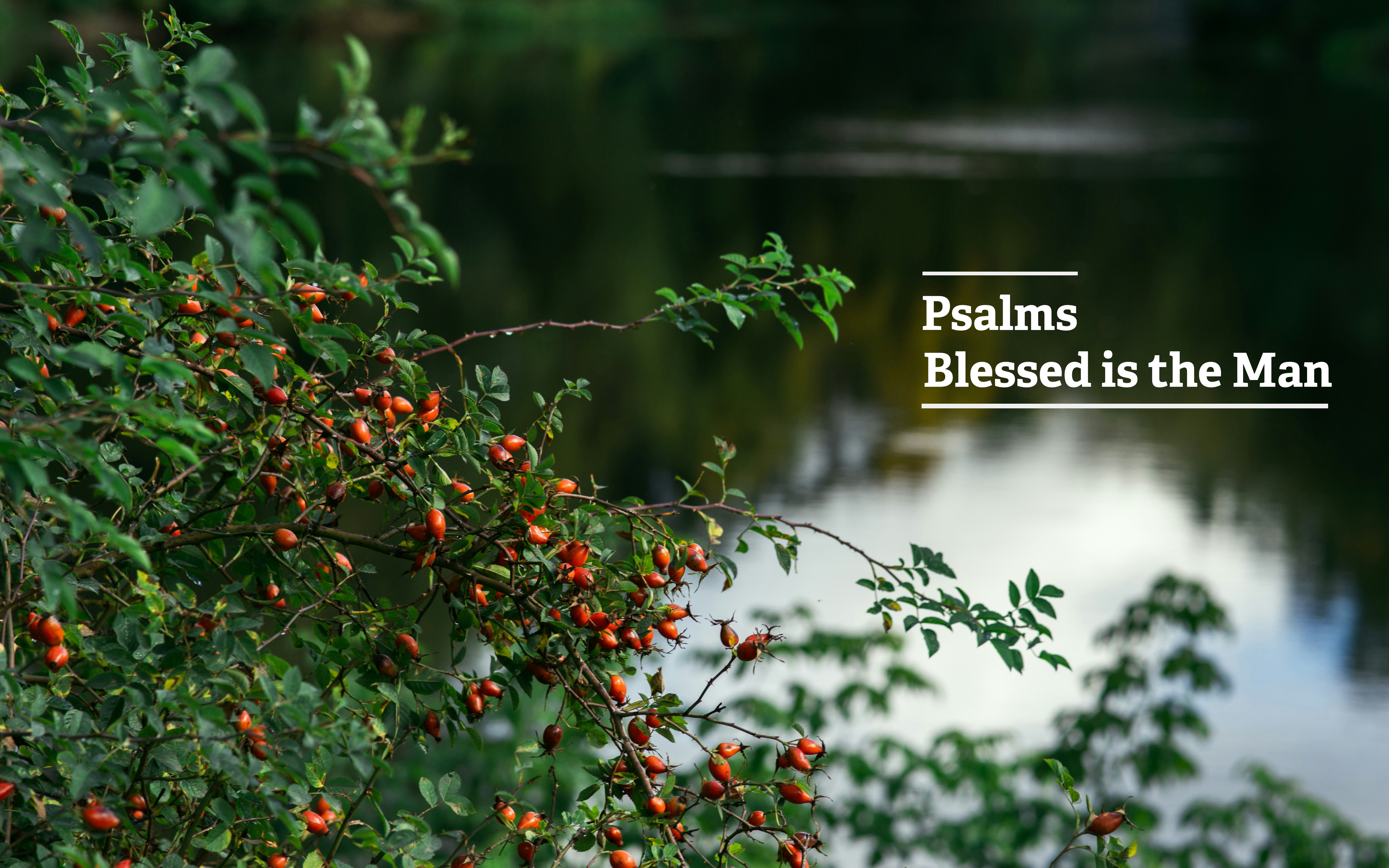 Psalms banner