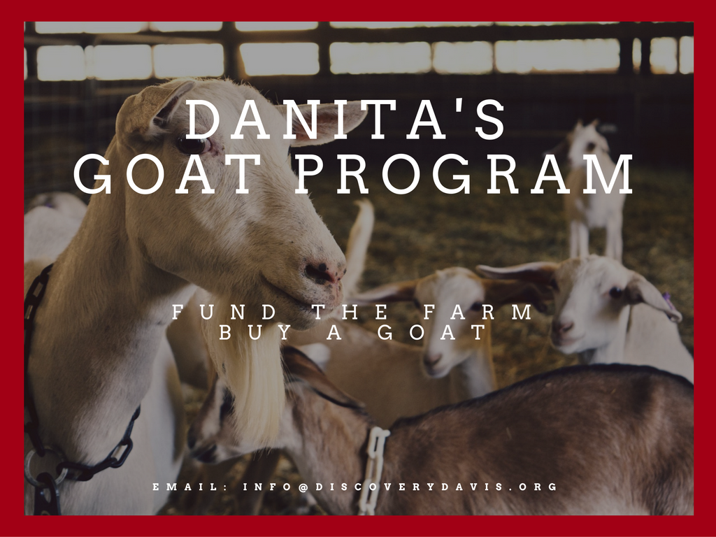Danita's Goat Program image