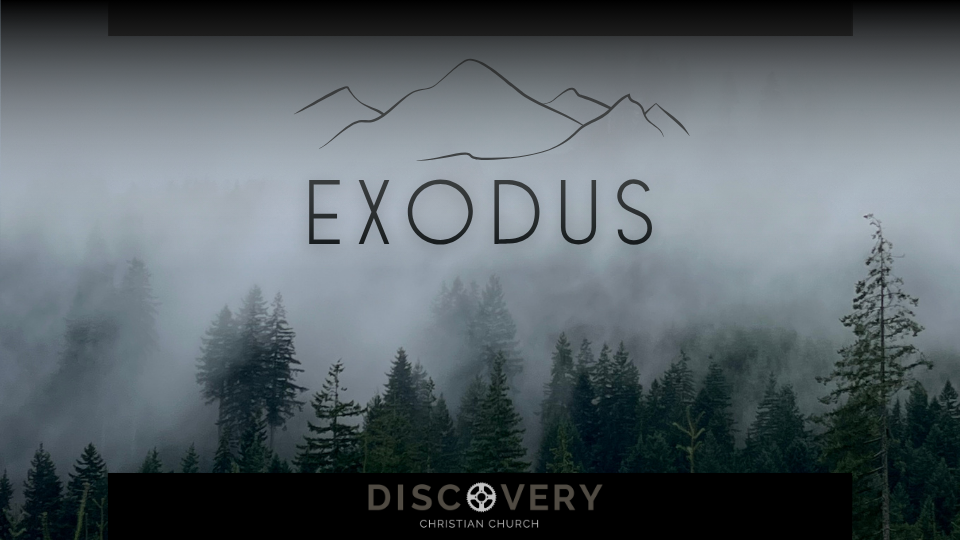 E X O D U S banner