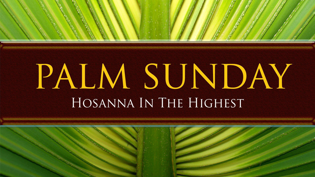 FEI Palm Sunday image