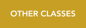 2026 classes 102