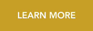 2026 LEARN BUTTON