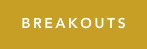 breakout small