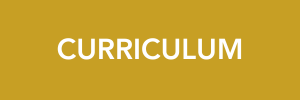 curriculum button 2026