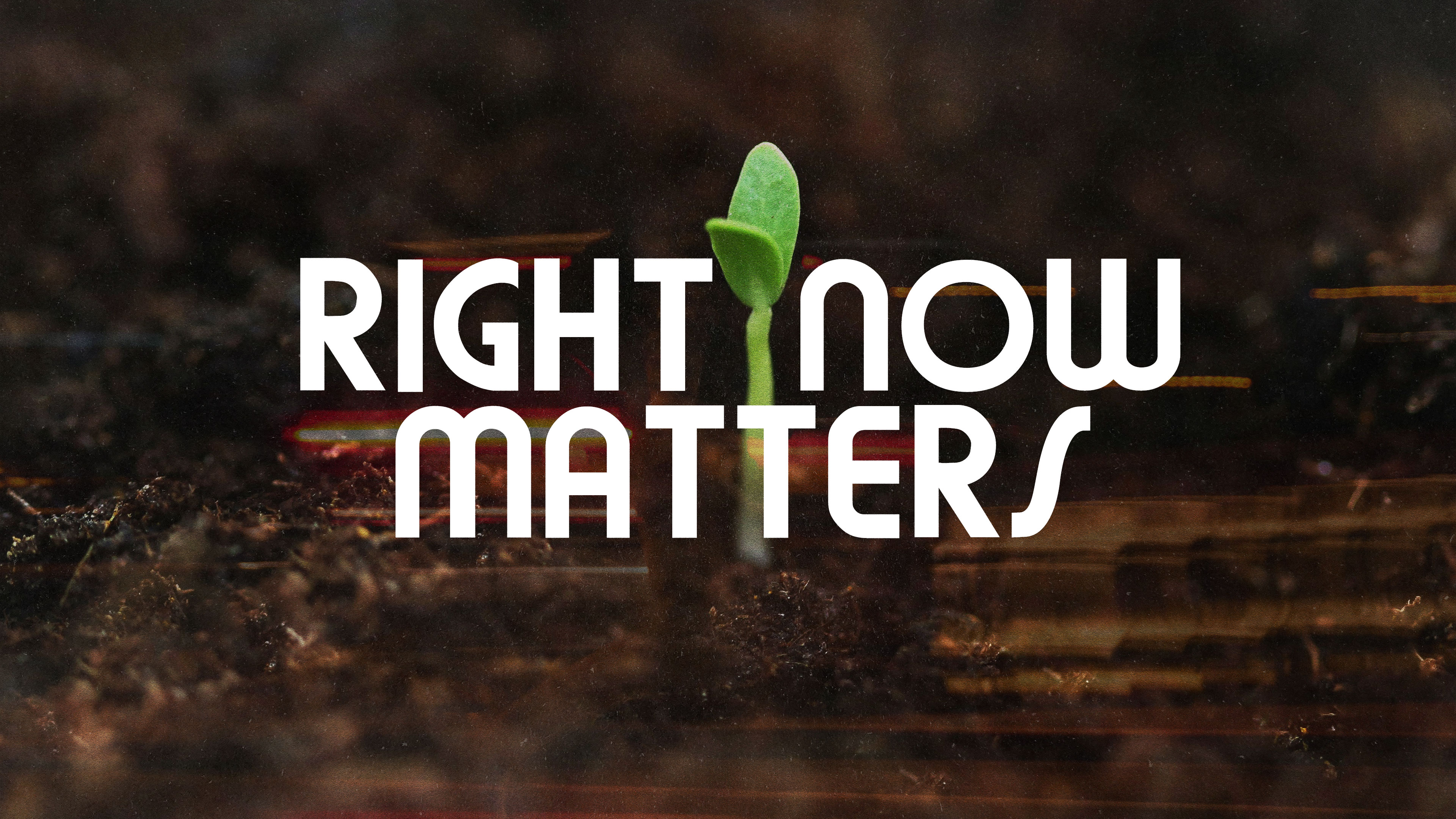 James-Payne_Right-Now-Matters image