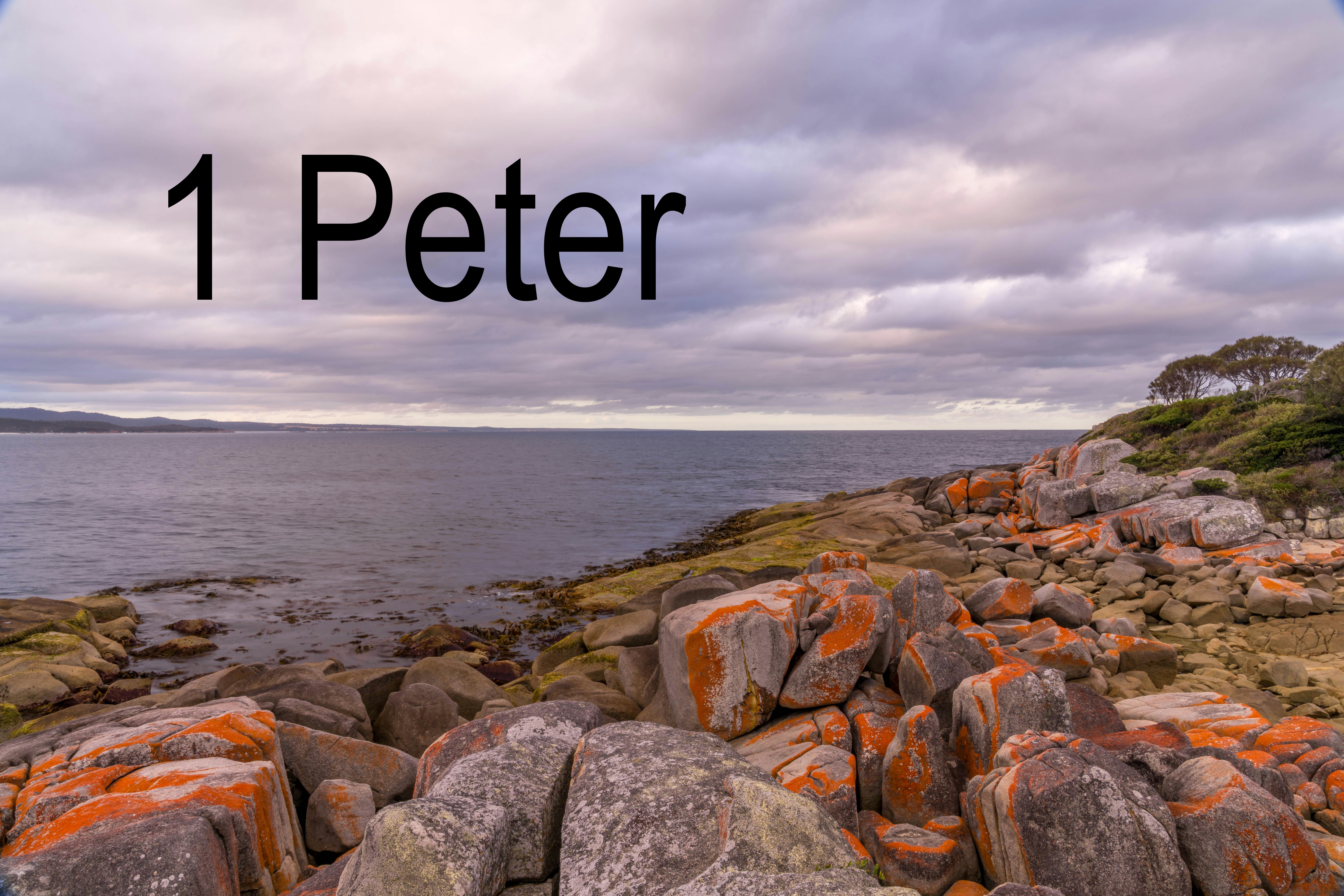 1 Peter series image