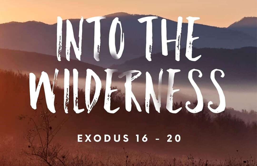 Into the Wilderness banner