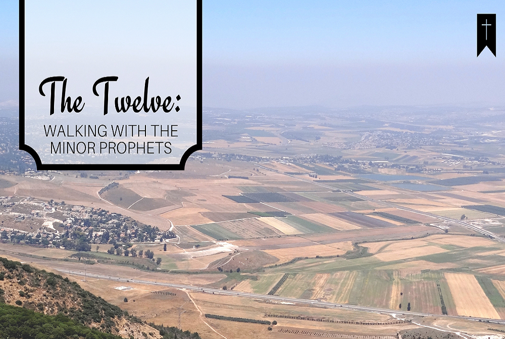 The Twelve: Walking With the Minor Prophets banner
