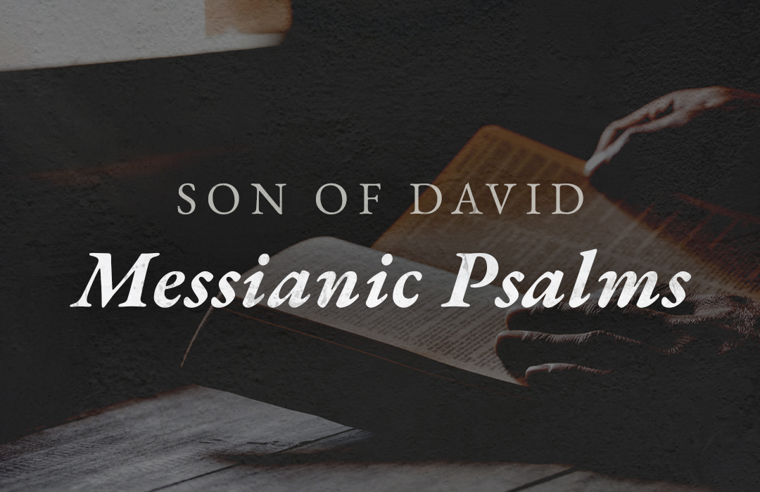 Son of David: Messianic Psalms image