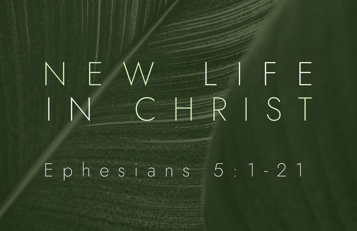 New Life in Christ banner