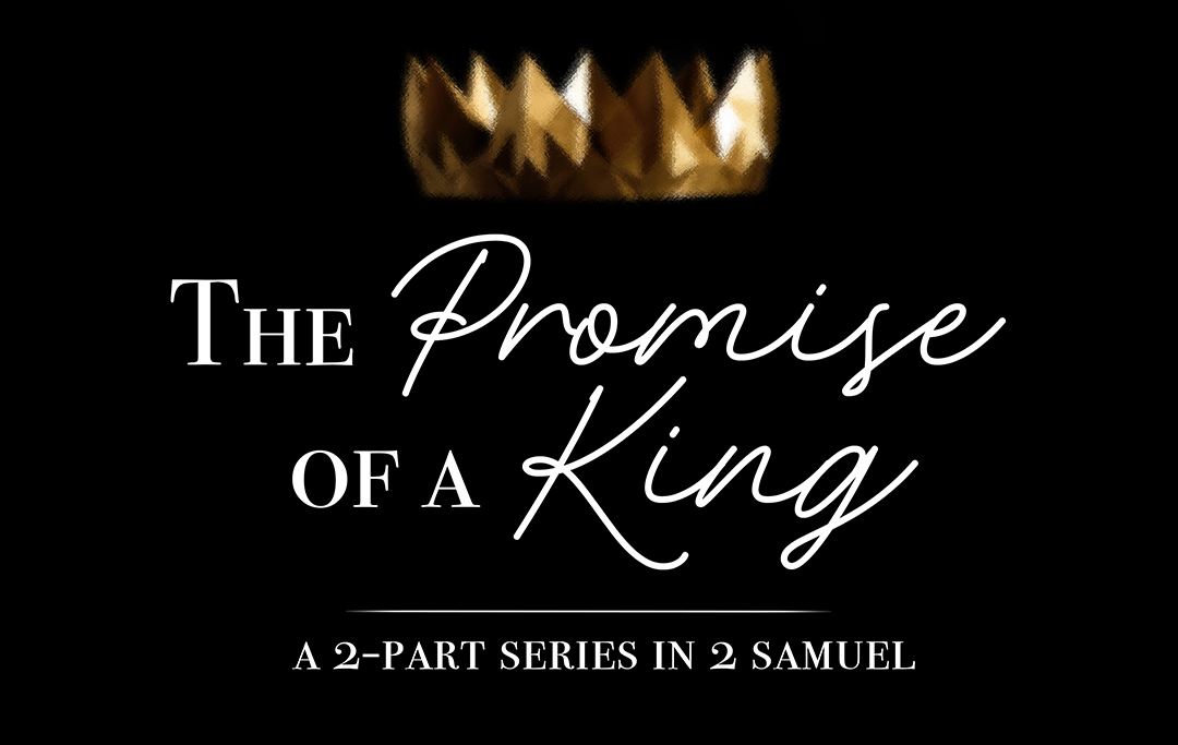 The Promise of a King banner