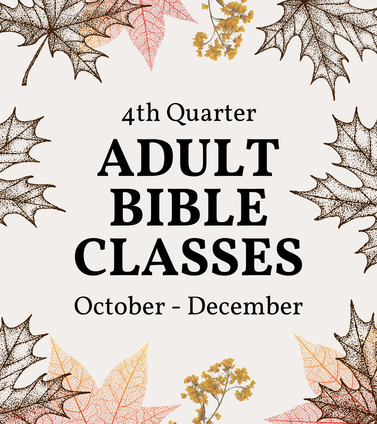 Bible Classes