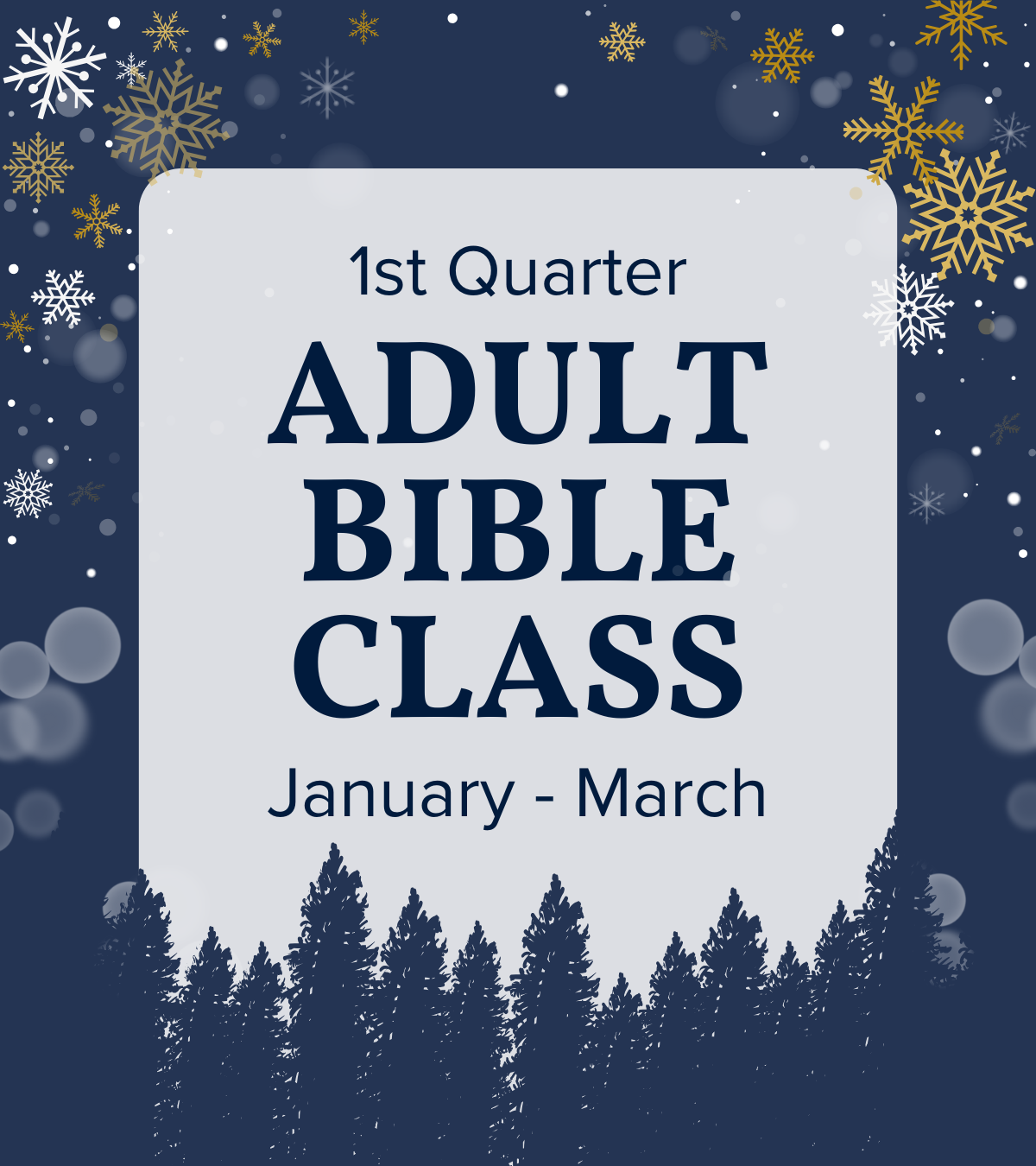 New Adult Bible Class