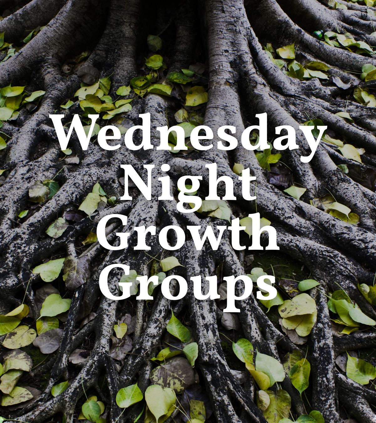 Growth Groups
