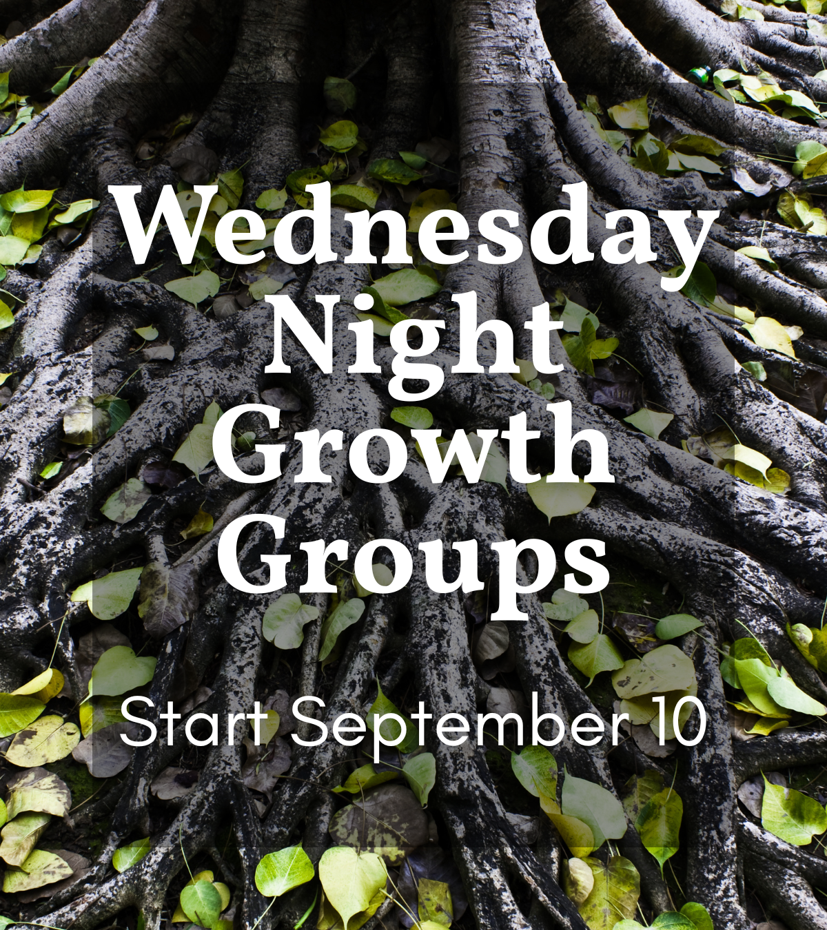 Growth Groups