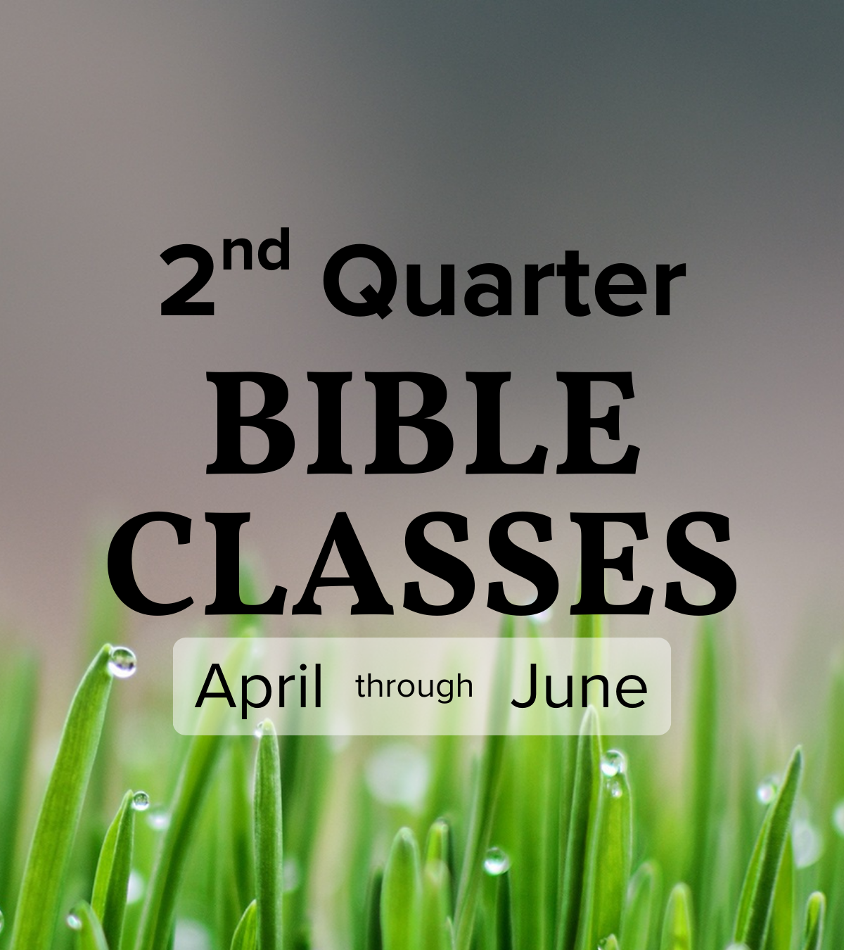 Current Bible Classes