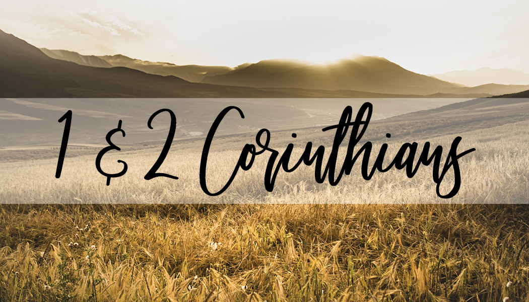 Starr Beer Wednesday Study Graphic