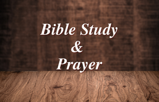 Bible Study & Prayer Feature Image