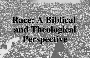 Race_ A Biblical And Theological Perspective- Feature