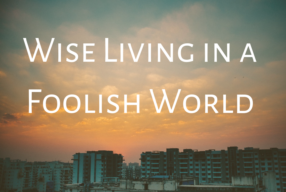 Wise Living In a Foolish World banner