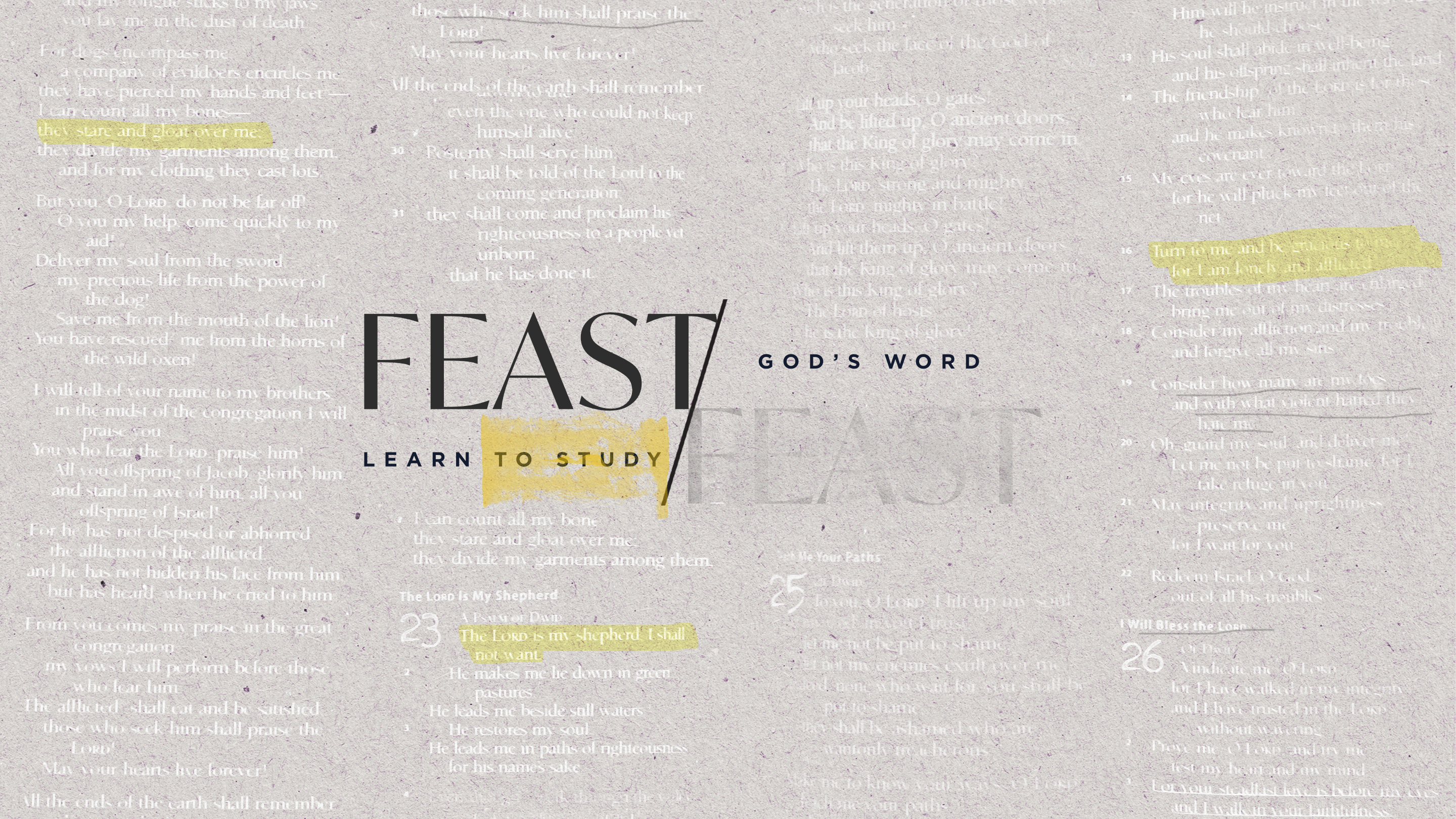 Feast (16x9) image