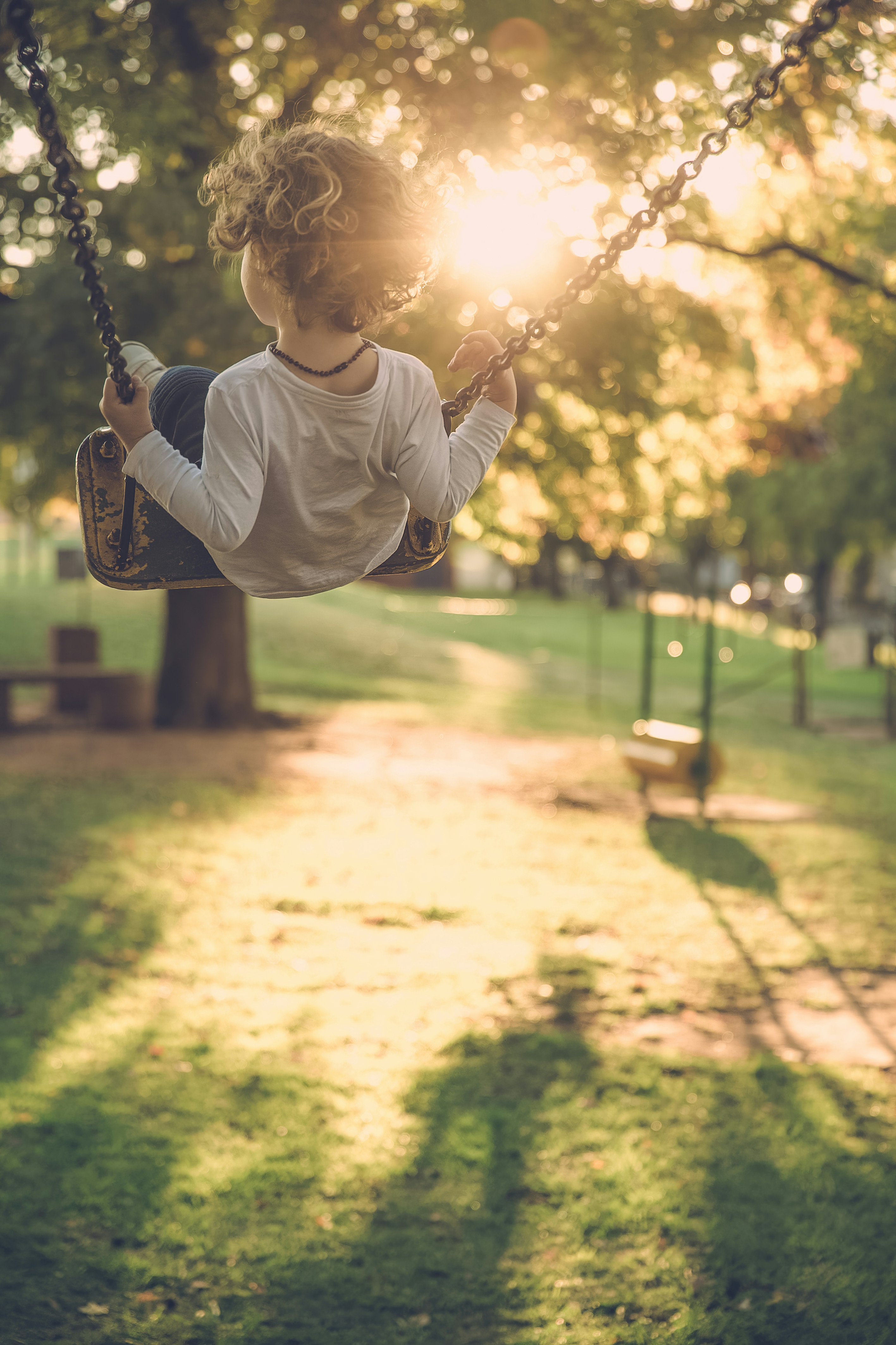 johnny-cohen-xro1l0c72VY-unsplash image