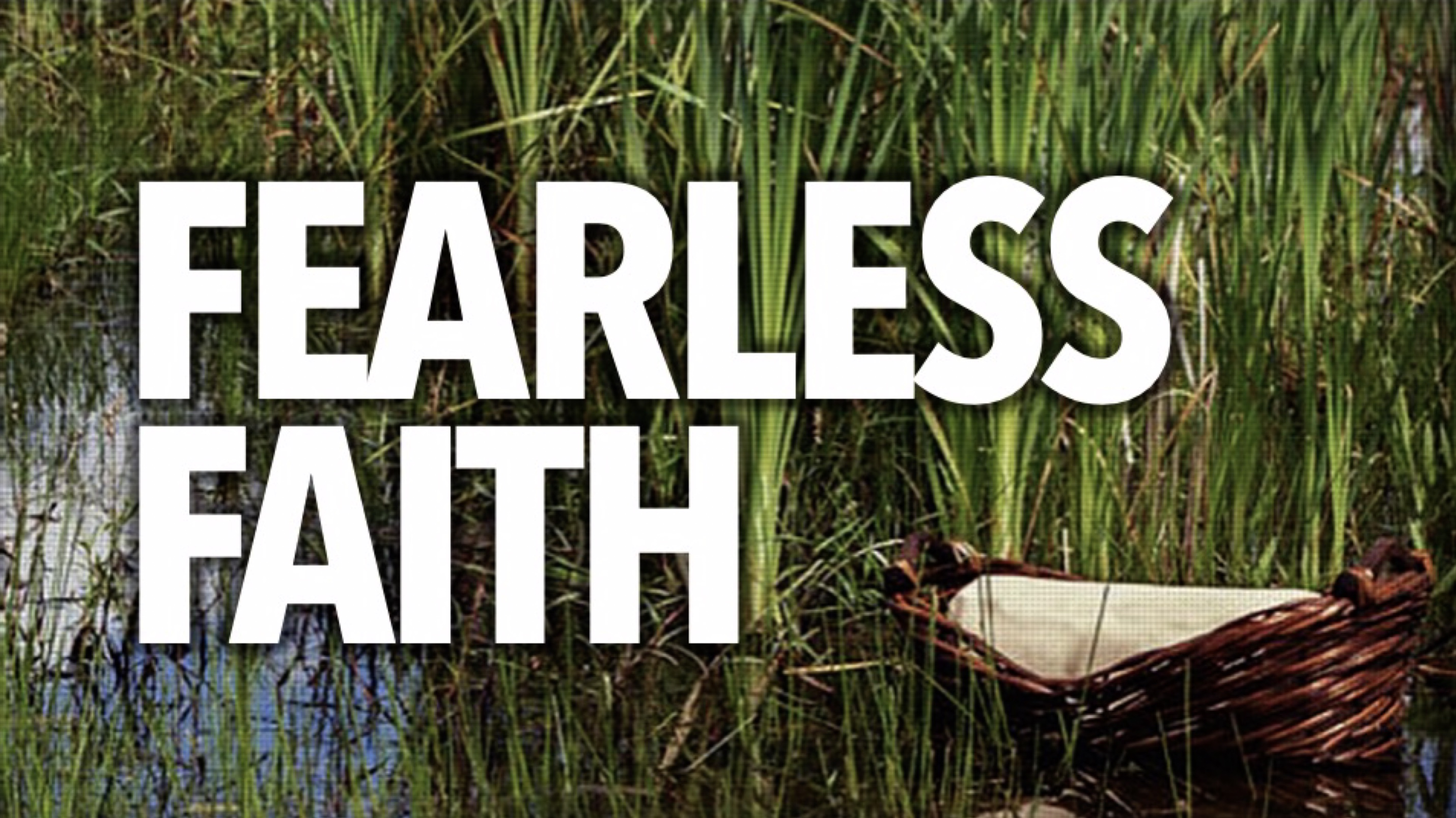 Fearless Faith image