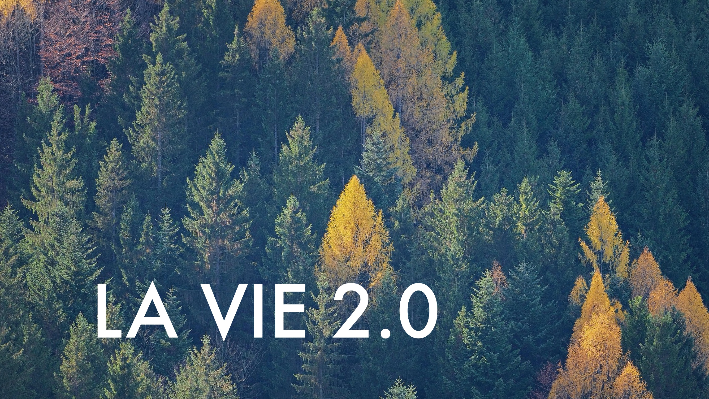 La vie 2.0