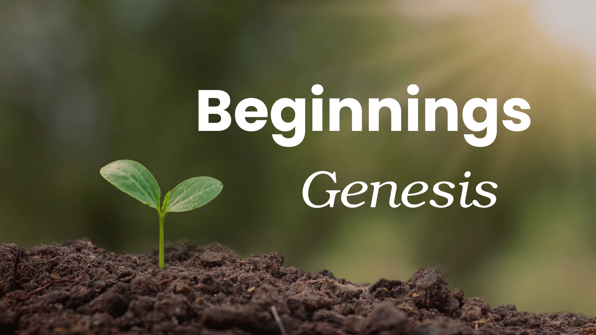 Beginnings  banner