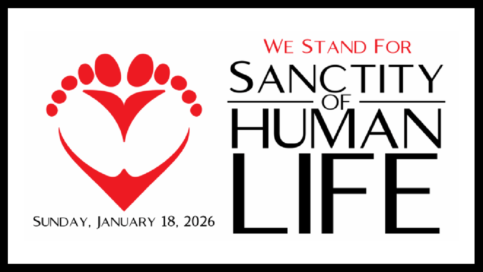 Option-2-Website-Banner-768x370