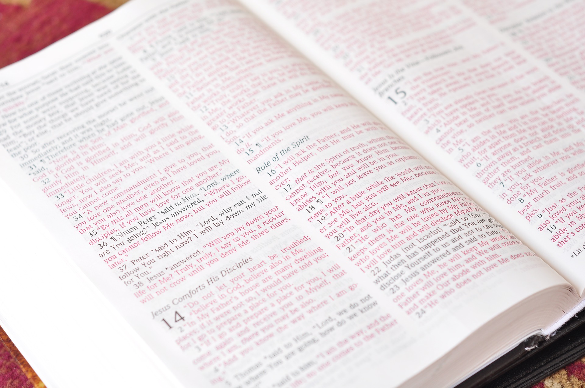 John14