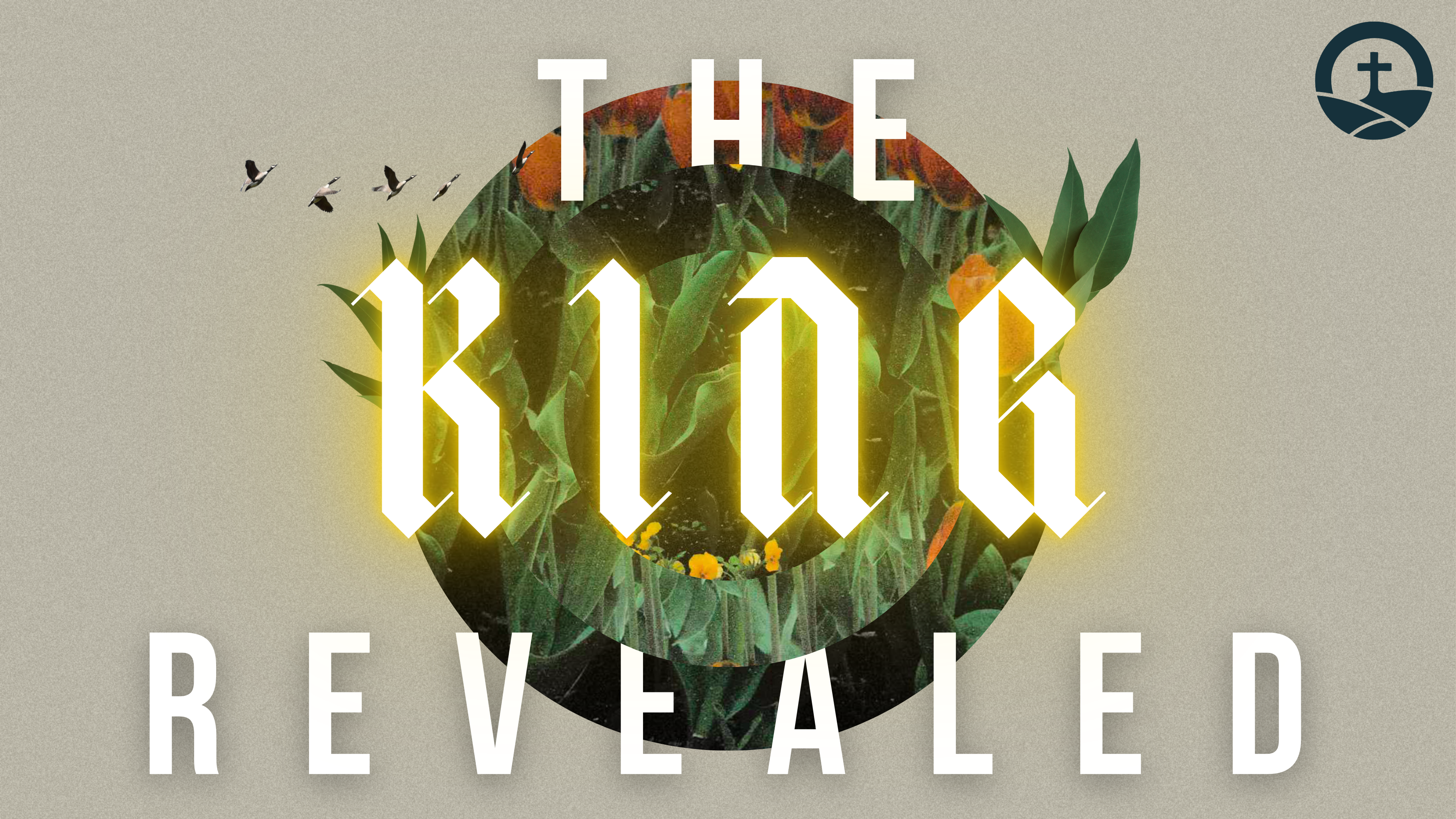 The King Revealed banner