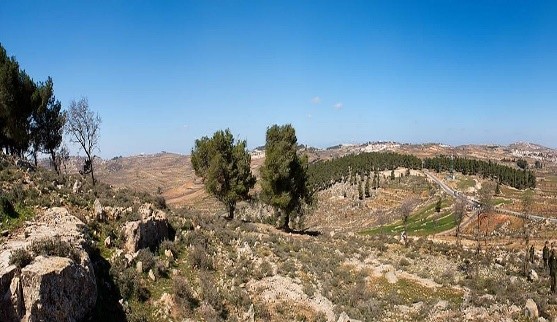Israel Series