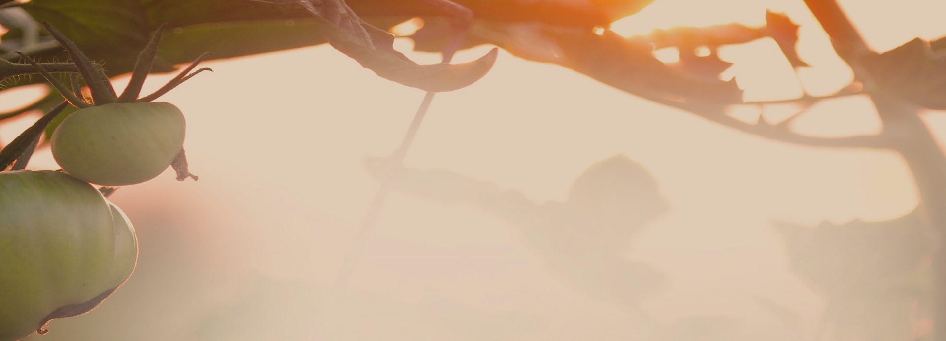 sermon banner image