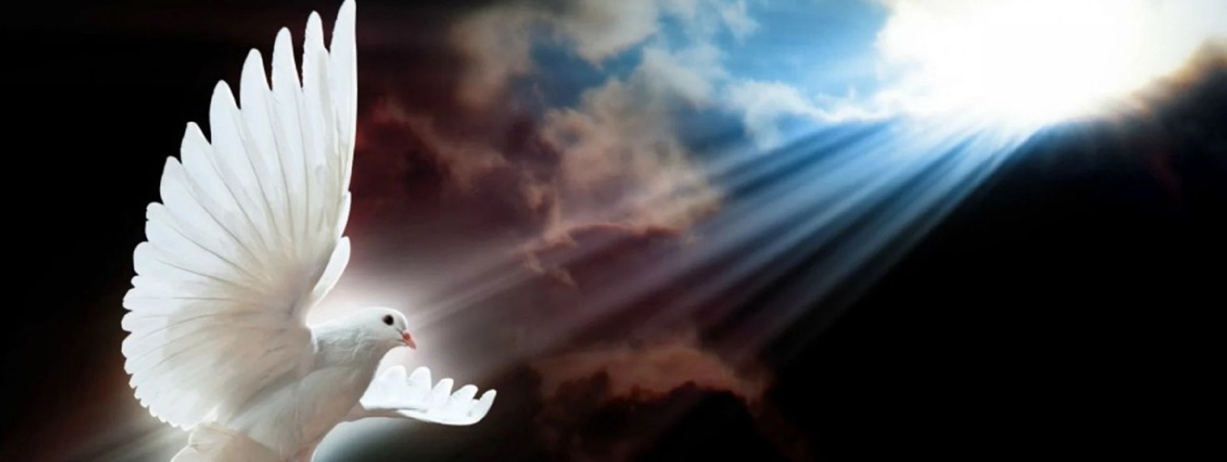 sermon banner image