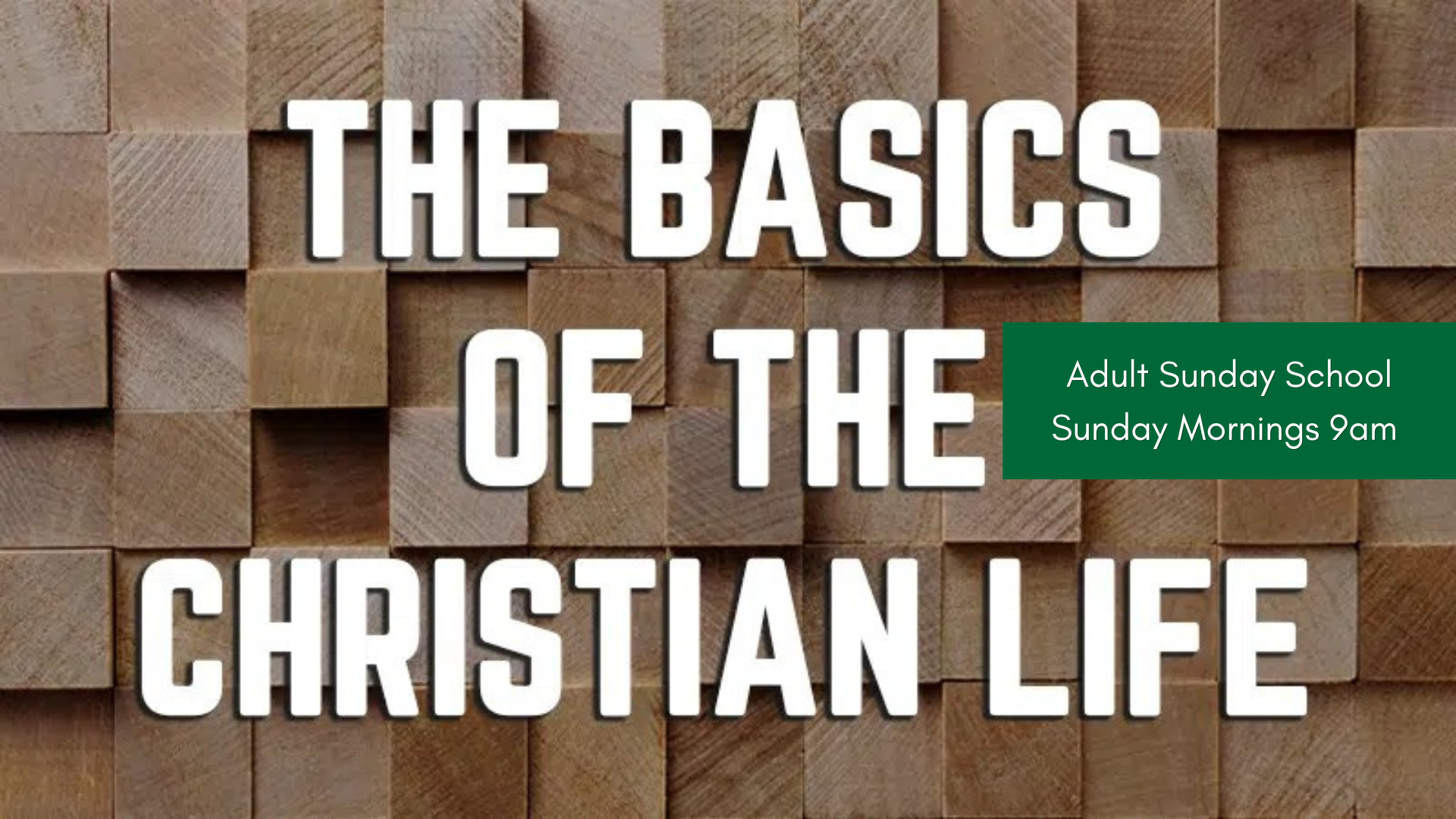 Basics of the Christian Life