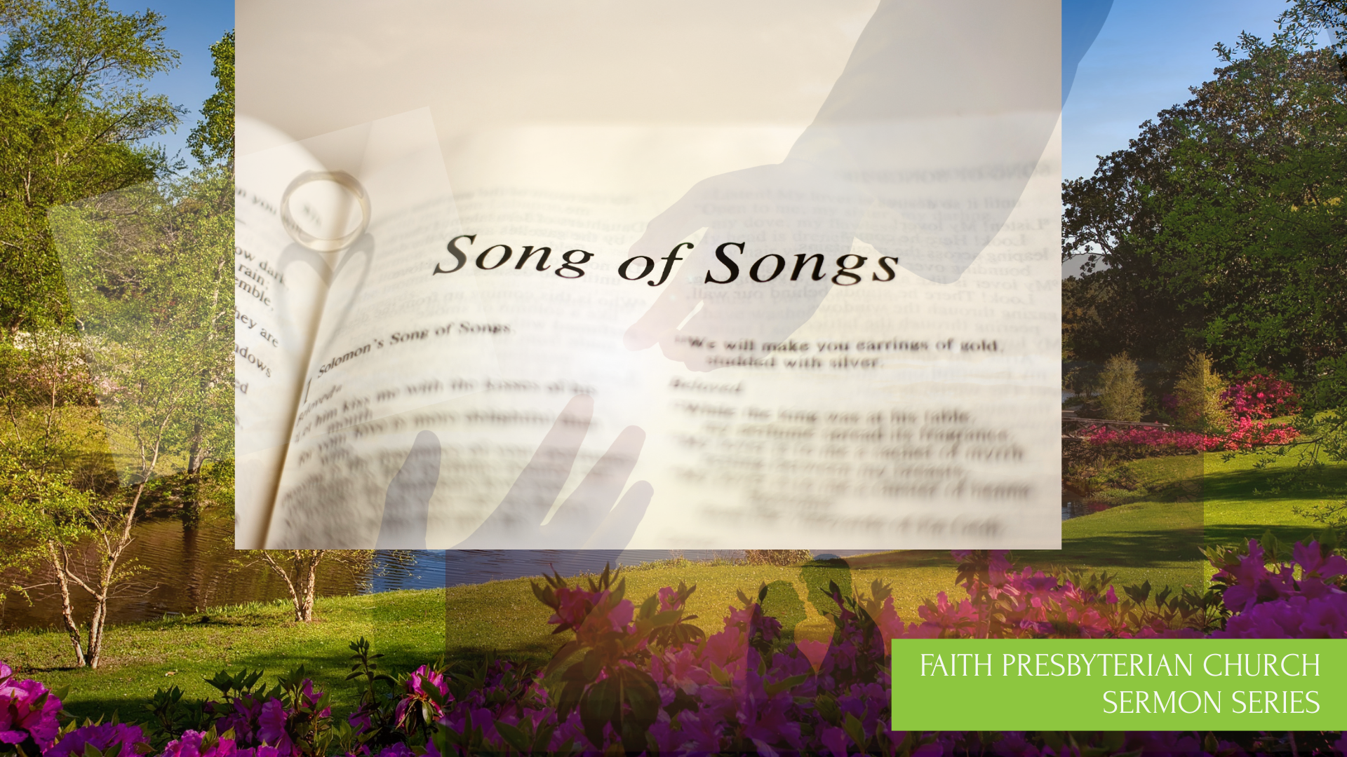 Song of Songs image