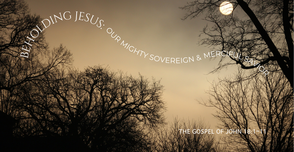 John 18. 1 to 11 (3)