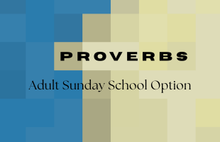 Proverbs SS quicklink (1)