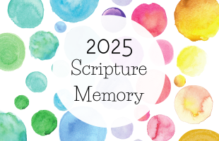 Scrpiture Memory