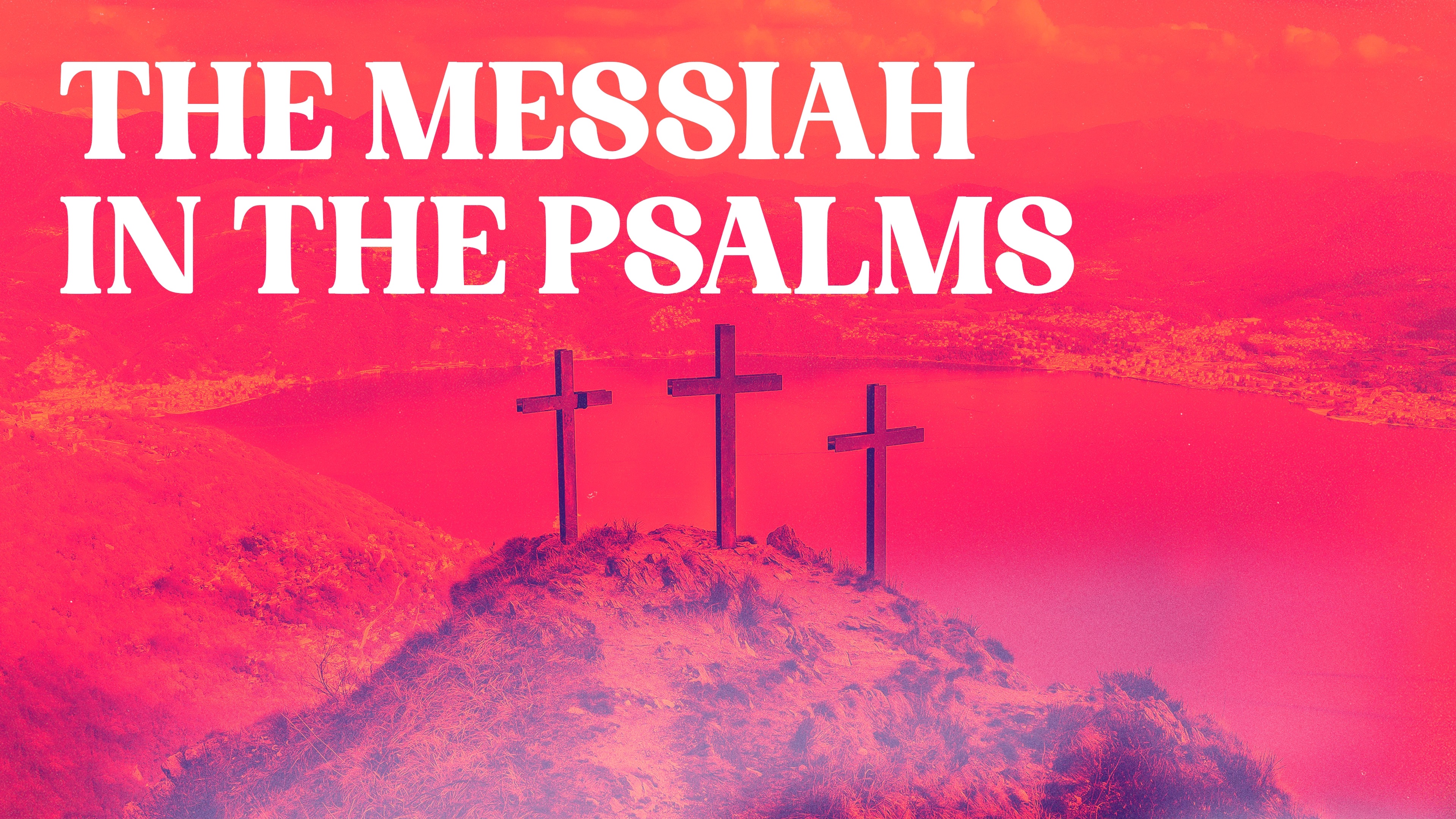 The Messiah in the Psalms banner