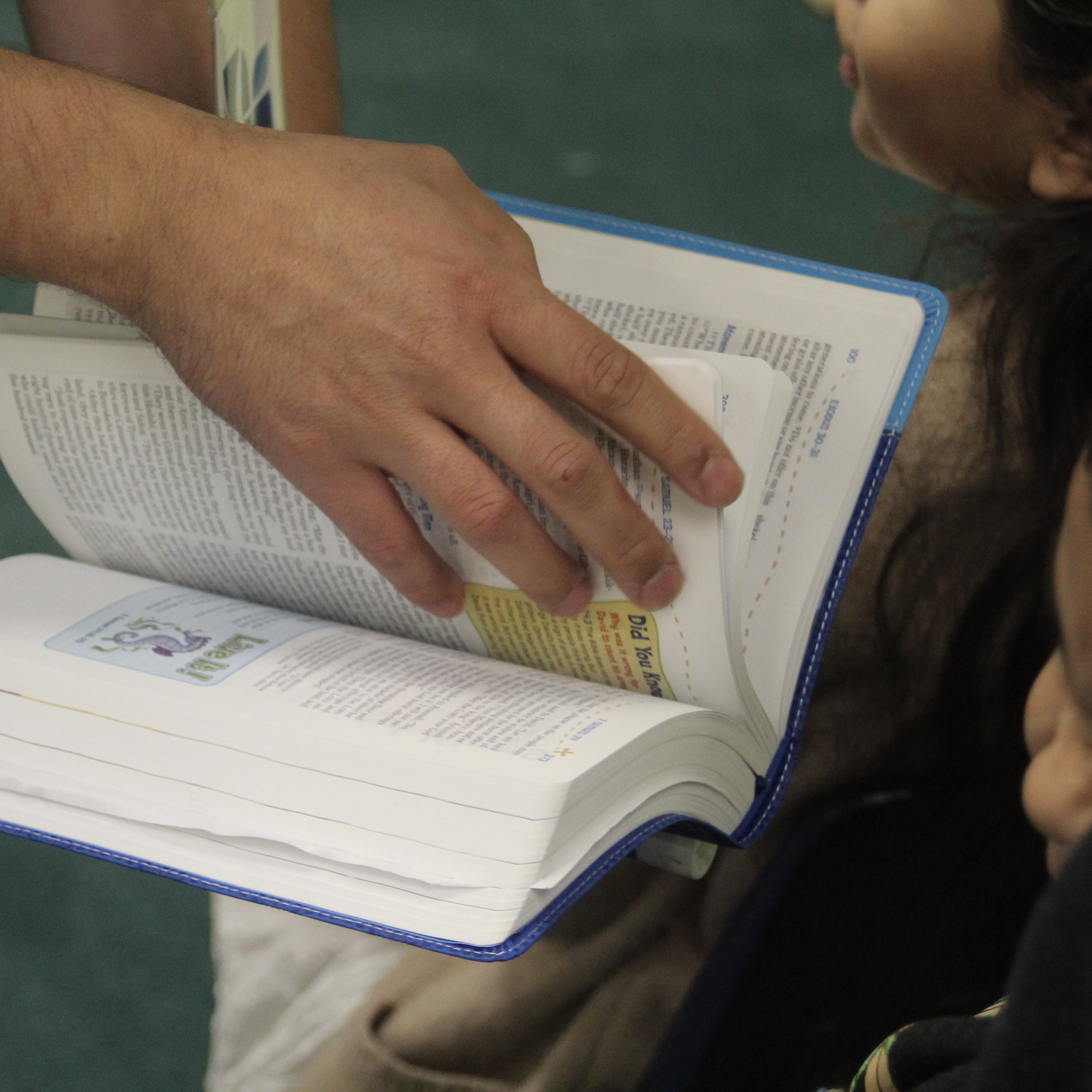 2025 Bible Reading Plan