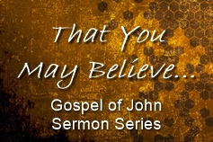 John - That You May Believe banner