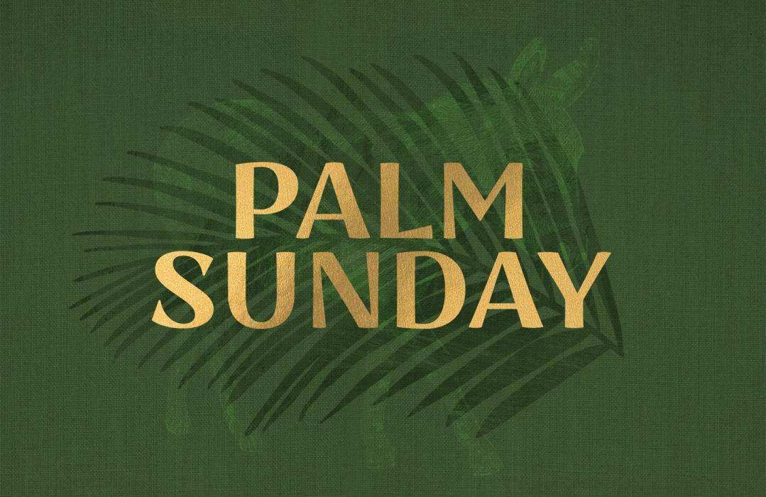 Palm Sun 700 image