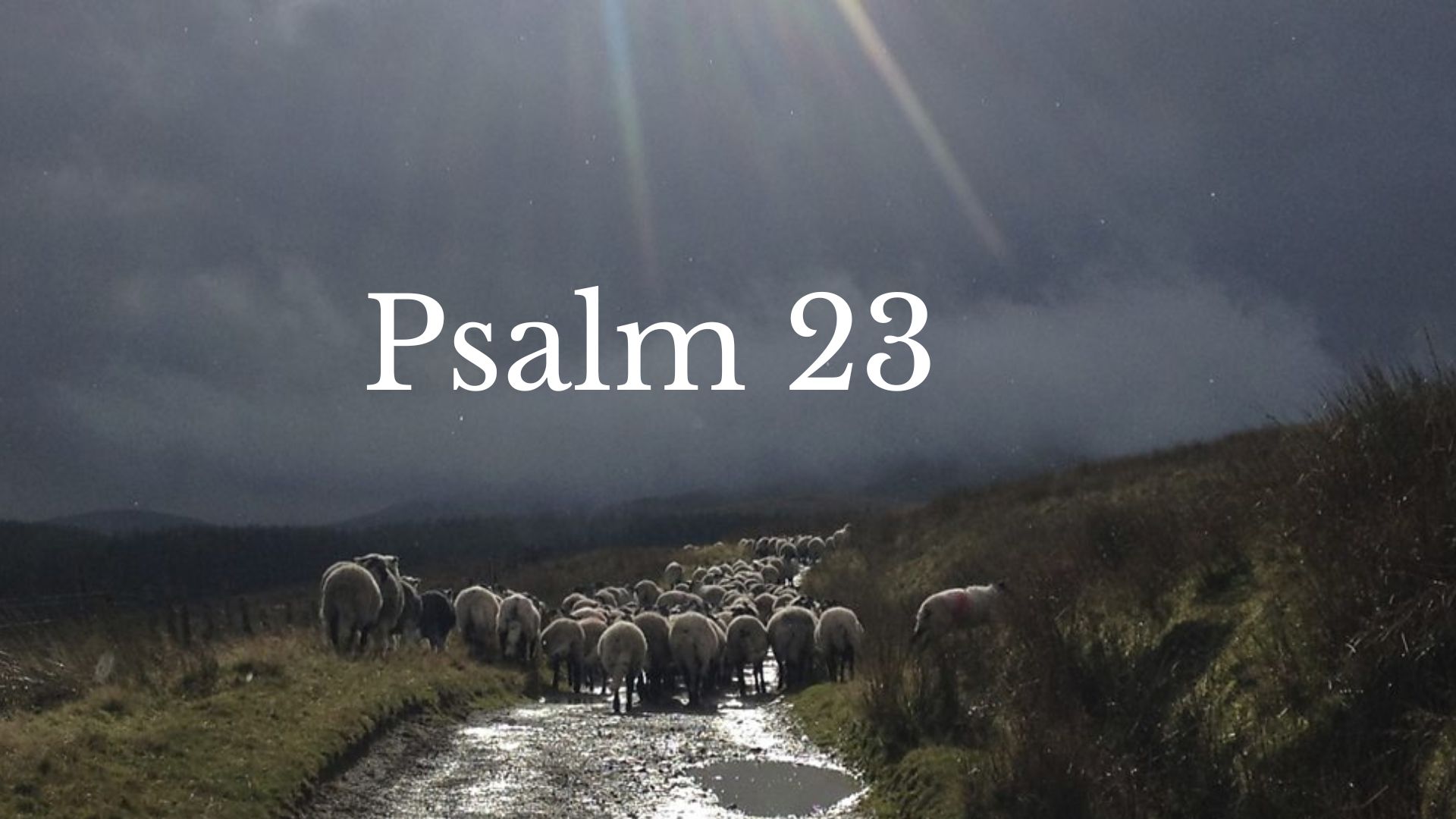 Psalm 23 banner