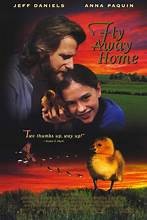 Movie Night - 2025 08 01 - Fly Away Home Image