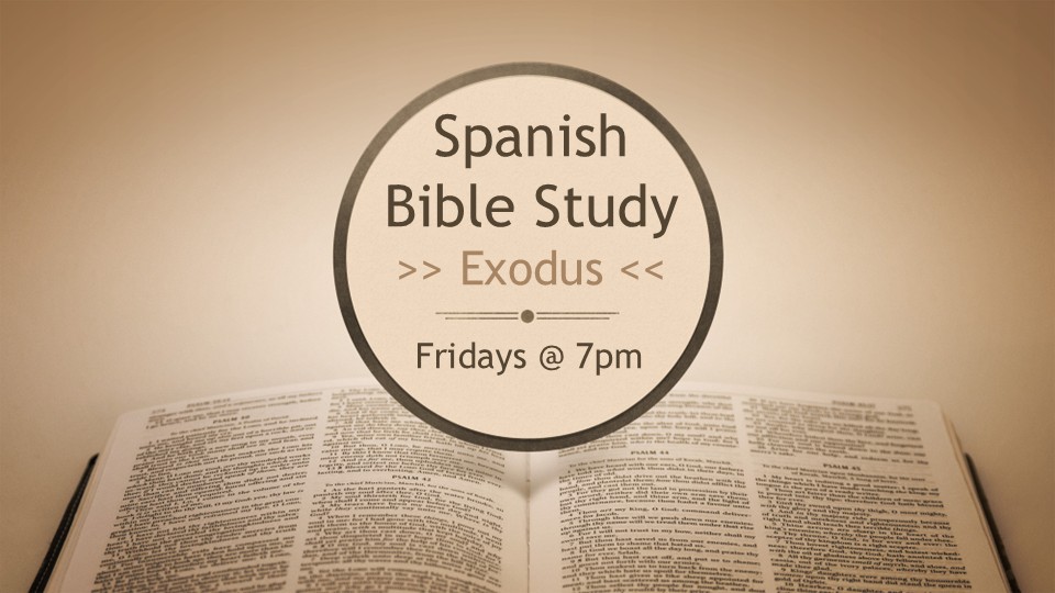 Spanish Bible Study - Exodus 16x9 image