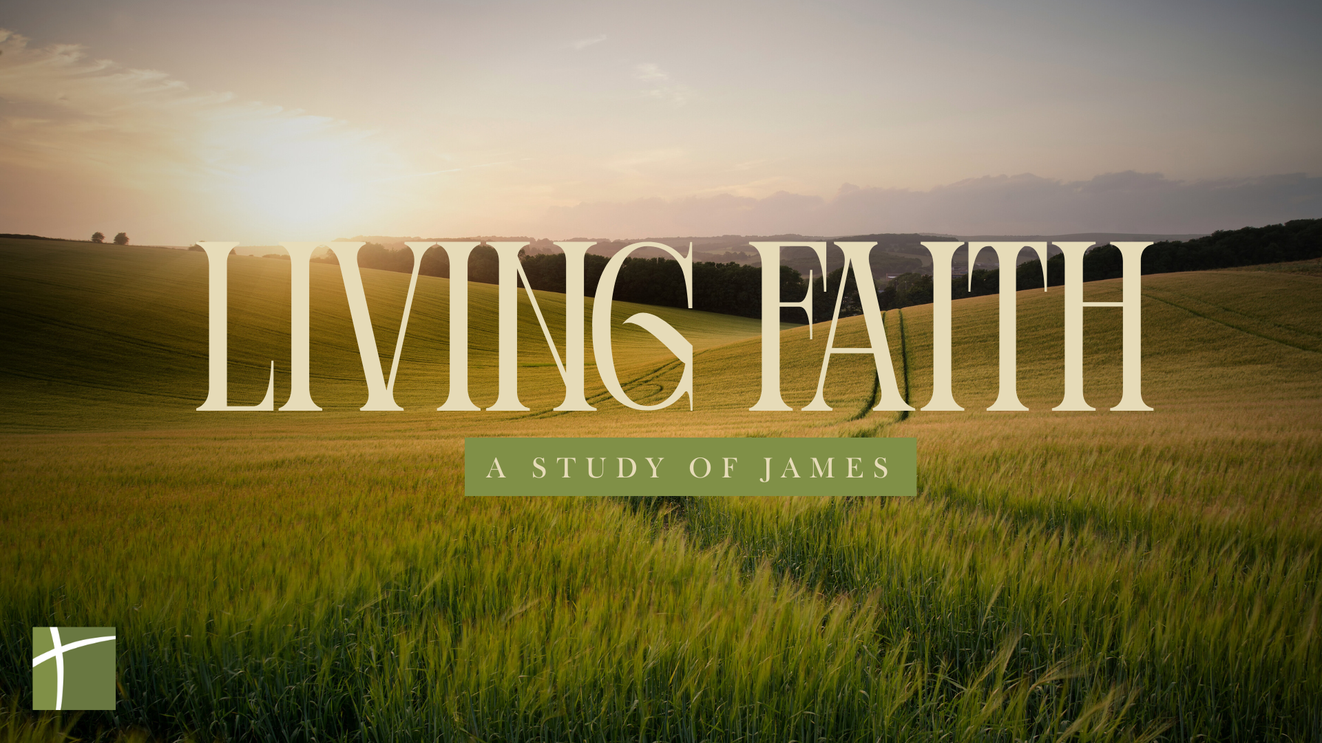 Living Faith: A Study of James banner