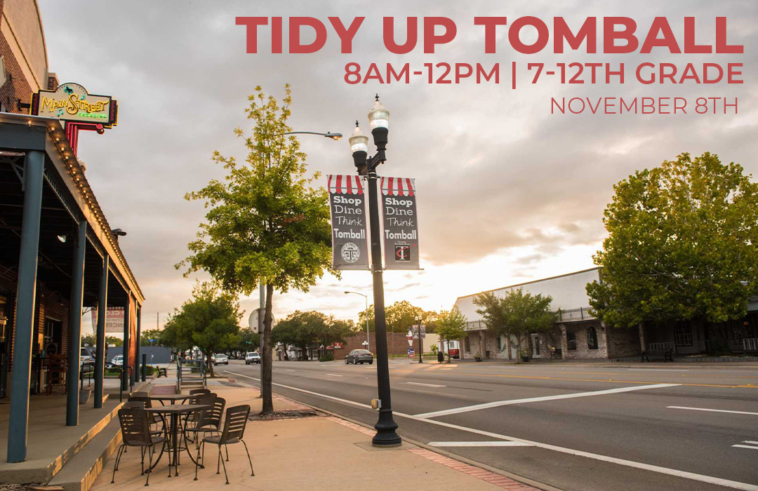 (web)tidyuptombal image